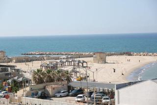 Stunning 1BR Beach Apartment - Tel Aviv - 4