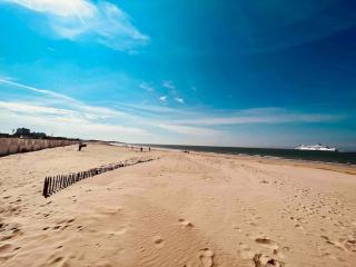 Le Cosy - Calais - 2