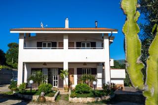 The Olive Tree - Seaview Apartments - Capo Vaticano - 2