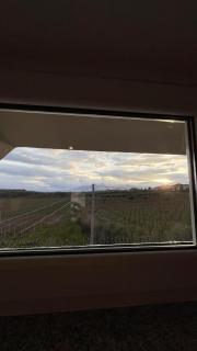 La Quercia - Ortona - 7