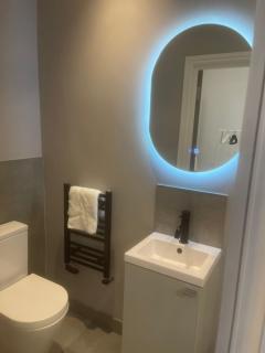 Luxury en-suite in modern house - Catford - 4