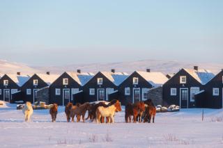 Torfhús Retreat - Selfoss - 1
