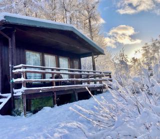 Woodland Retreats - 1