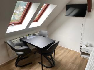 FeWo WIEKO Plauen Leibnizstr. H1, DG rechts - Plauen - 4