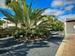 Luxury Villa away from the crowds - Casa Montana - Parque Holandes - 6