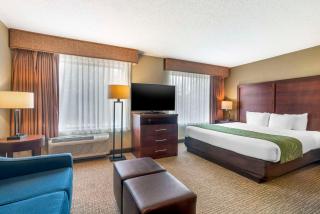 Comfort Suites Wilmington near Downtown - Wilmington - 3