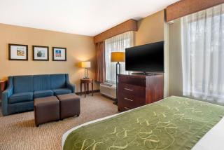 Comfort Suites Wilmington near Downtown - Wilmington - 2
