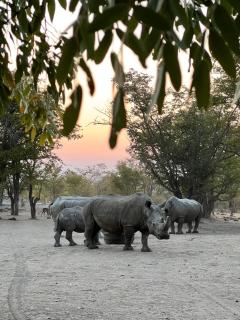 Sukulu Reserve - Livingstone - 0