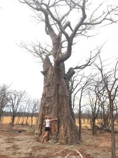 Sukulu Reserve - Livingstone - 4