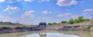 Sukulu Reserve - Livingstone - 1