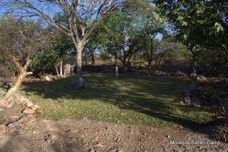 Mondjila Safari Camp - Okaukuejo - 9