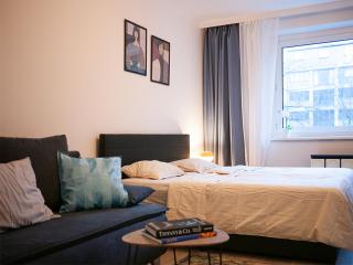 Big 2Rooms in Vienna city center - Vienna - 1