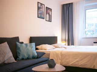 Big 2Rooms in Vienna city center - Vienna - 9