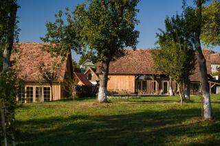 Mesendorf Gasthaus - Meşendorf - 6