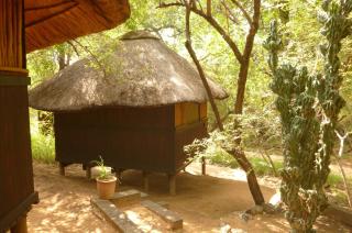 Off Beat Safaris Bush Lodge - Hoedspruit - 6