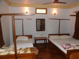Forest Hideaway Resort Pvt Ltd - 2