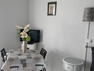 Studio rénové avec télévision, lave-linge, animaux admis - FR-1-680-23 - Balaruc-les-Bains - 2