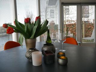 Lovely house on the water near Amsterdam - 's-Graveland - 8