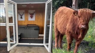 Ben Nevis Manor Lodge & Indoor Private Hot-Tub - 9