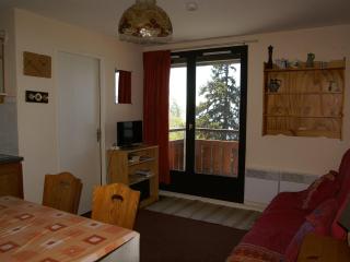 2 pièces cabine au pied des pistes avec balcon, cuisine équipée et services optionnels - FR-1-557-64 - Les Adrets - 5