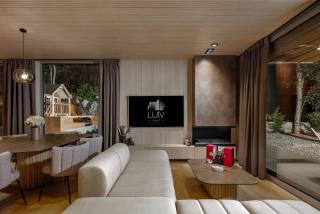 Villa Luiv Chalet - Mrkopalj - 1