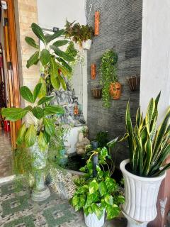 Ngọc Nga Hotel - Phan Rang-Tháp Chàm - 5