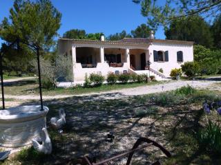 Chambre d'hôtes La Pinede - Lambesc - 8