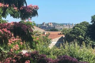 Villa Tamaris - Carcassonne - 6