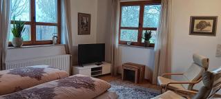 Studioferienhaus Herzogstadt-Celle - Celle - 1