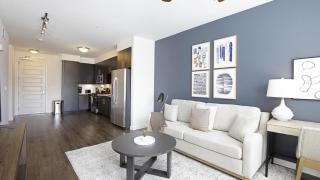 Landing Modern Apartment with Amazing Amenities (ID8777X46) - San Diego - 0