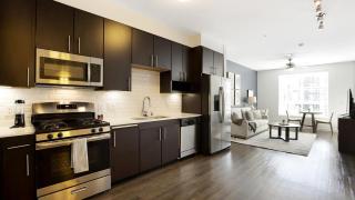 Landing Modern Apartment with Amazing Amenities (ID8777X46) - San Diego - 7