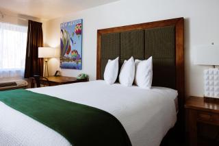 Taos Valley Lodge - Taos - 7