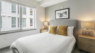 Landing Modern Apartment with Amazing Amenities (ID5348X64) - 3