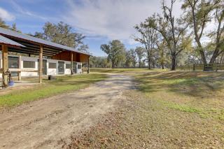 Morriston Studio 13 Mi to World Equestrian Center - Morriston - 8