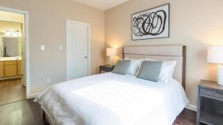 Landing Modern Apartment with Amazing Amenities (ID8089X06) - Louisville - 2