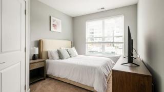Landing Modern Apartment with Amazing Amenities (ID7738X85) - 2
