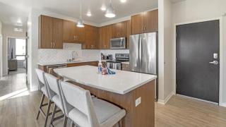 Landing Modern Apartment with Amazing Amenities (ID1231X251) - 5