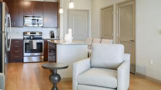 Landing Modern Apartment with Amazing Amenities (ID8210X91) - 9