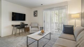 Landing Modern Apartment with Amazing Amenities (ID6248X21) - 4