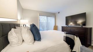 Landing Modern Apartment with Amazing Amenities (ID7684X4) - 3