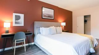 Landing - Modern Apartment with Amazing Amenities (ID2488X99) - 1