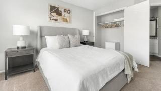 Landing - Modern Apartment with Amazing Amenities (ID1262X306) - 1