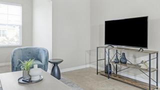 Landing - Modern Apartment with Amazing Amenities (ID1263X174) - Clearwater - 7