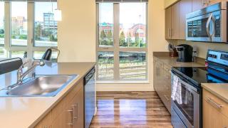 Landing - Modern Apartment with Amazing Amenities (ID8687X92) - 5