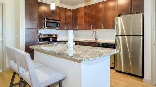Landing - Modern Apartment with Amazing Amenities (ID8201X09) - 4
