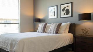 Landing - Modern Apartment with Amazing Amenities (ID3443X33) - 4
