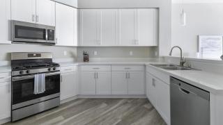 Landing - Modern Apartment with Amazing Amenities (ID8251X83) - 6