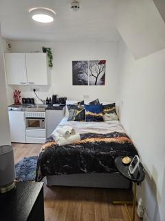 Tiny Studio, 30 min to St. Pancras, North London - Londra - 9