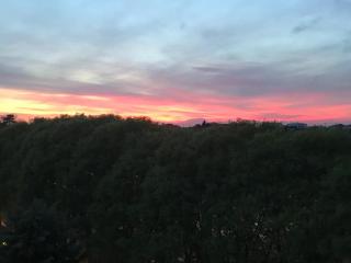 CASABELLA - Monza - 1