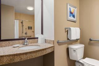 Four Points by Sheraton Chicago Westchester/Oak Brook - 4